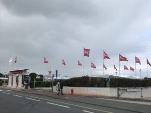 IMG_4651